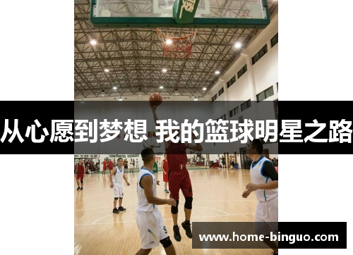 从心愿到梦想 我的篮球明星之路 从心愿到梦想 我的篮球明星之路