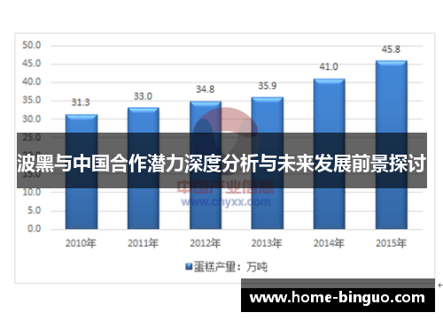 波黑与中国合作潜力深度分析与未来发展前景探讨